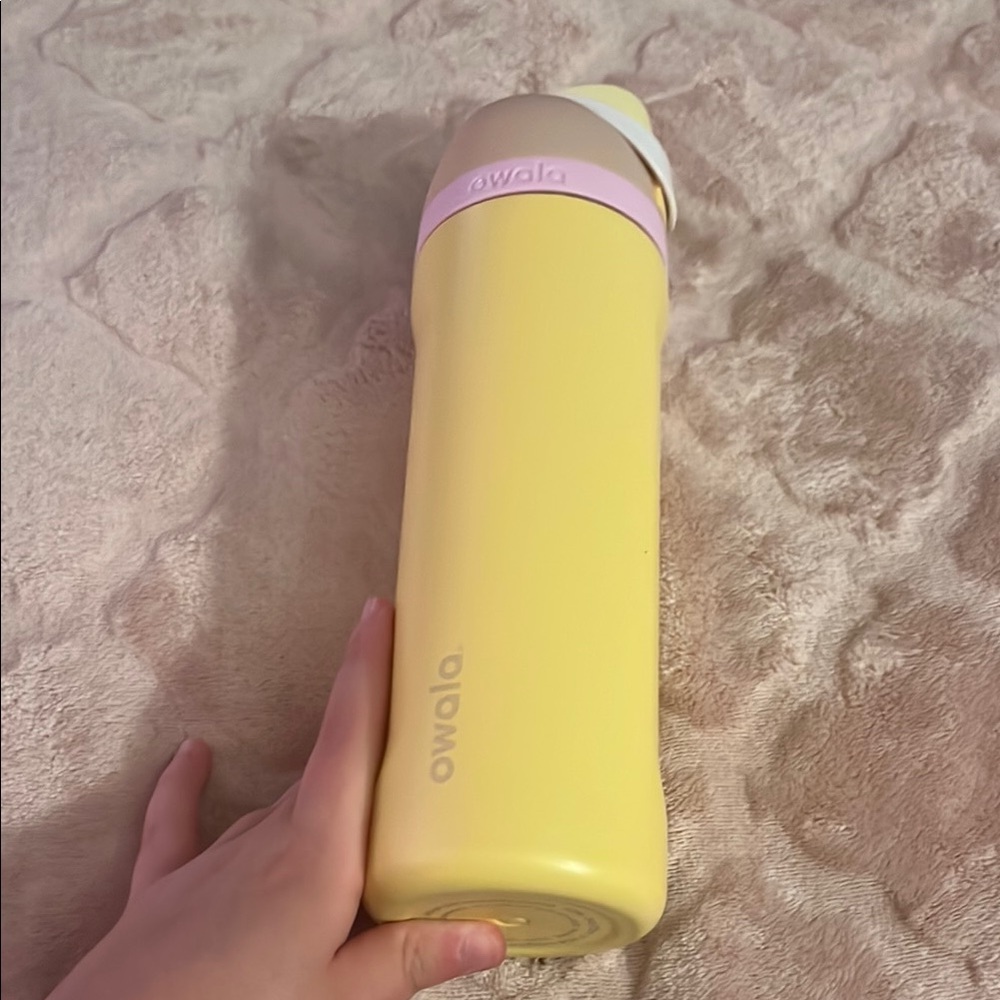 Owala water bottle (spring fling) 24oz